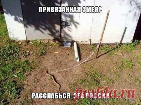 Ну и выдумщики ...