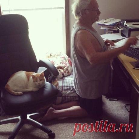 32 животных, которые ведут себя как полные засранцы