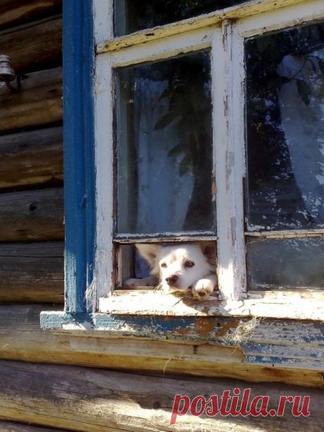 Алена-незабудка — «Забыли...» на Яндекс.Фотках