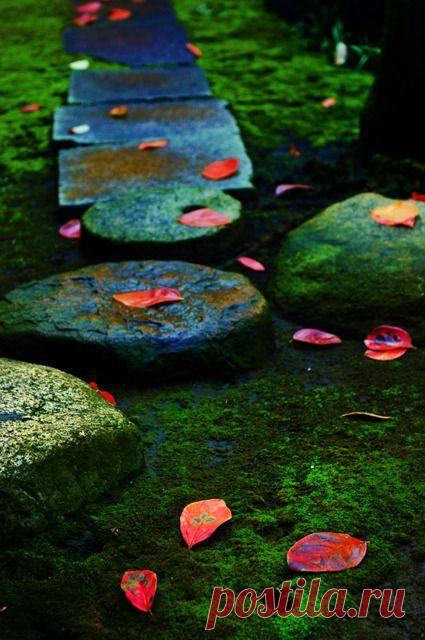 Мосс-Гарден на Кю-Ивасаки Тэй сад в Токио, Япония.