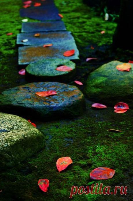 Мосс-Гарден на Кю-Ивасаки Тэй сад в Токио, Япония.