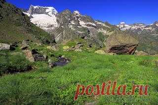 Удивительный парк с окаменевшим лесом