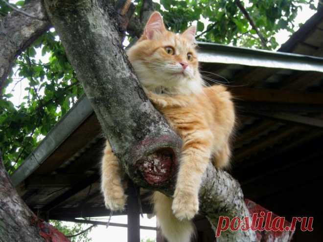 Классно устроился