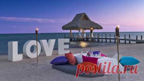 caribbean - Поиск в Google
