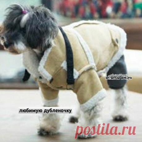 Когда наступило время доставать из шкафа тёплые вещи