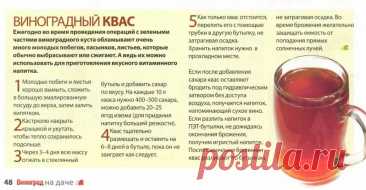 Виноградный квас