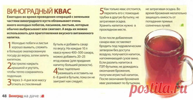 Виноградный квас