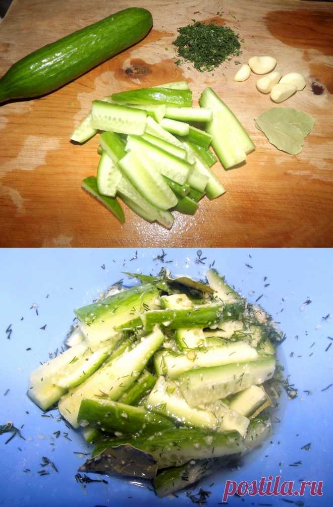 Малосольные огурчики. Ну и как же гостям не подать к столу вкусные, хрустящие, свежеприготовленные МАЛОСОЛЬНЫЕ ОГУРЧИКИ:
Ингредиенты: огурцы, чеснок, укроп, лавровый лист, раст. масло, соль.
Приготовление: Огурцы нарезаем брусочками. Укроп и чеснок режем очень мелко. Все продукты соединяем, добавляем лавровый лист, укроп, не много соли и раст. масло.