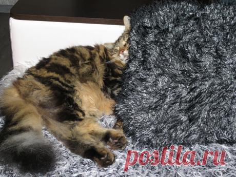 В плену Морфея)))