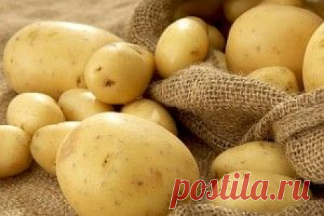 Выращивание картофеля - Чудесная дача