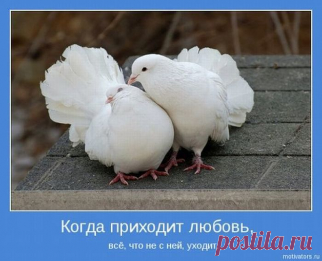 ухаживание