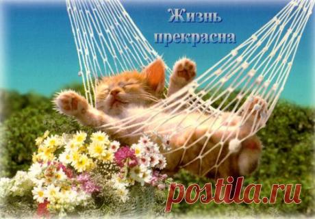 Техника прекрасная жизнь Наше подсознание очень хорошо воспринимает разные образы и ассоциации, поэтому, если вы твердо решили начать новую счастливую жизнь, советуем вам проделать один простой и забавный ритуальчик. Он поможет убедить ваш разум в том, что вы избавились от всего ненужного и освободили место для положительных событий.