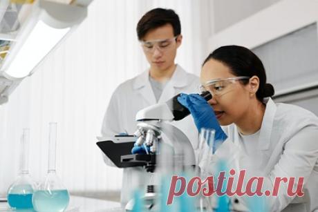 Найден эффективный способ лечения рака паразитом. Онкологи из Университета Нинбо и Сельскохозяйственного университета Шаньси в Китае рассказали о своей научной работе, в ходе которой они выявили эффективность паразита Toxoplasma gondii в лечении рака. Паразит в составе инъекции был введен в «холодные», не имеющие воспаления, раковые клетки мышей.