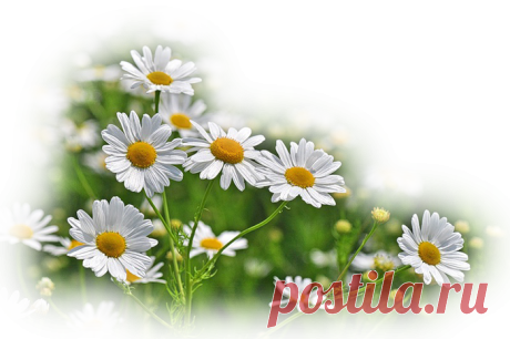 Открытка (плейкаст) «Я скучаю по папе... Мне его не хватает...»