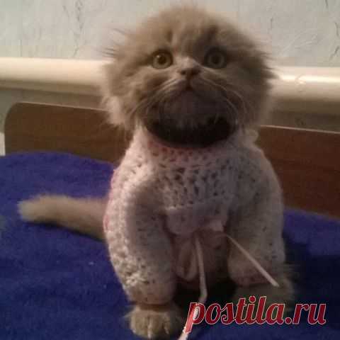ᴼᴿᴵᴳᴵᴺᴬᴸ   SМАЙЛИКИ   (ړײ)
ღRoksolana ღ