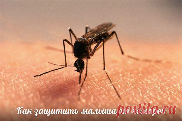 Фотографии на стене сообщества | 32 791 фотография