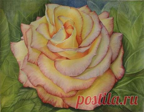 Серия Портреты цветов "Роза", акварель, 2014, художник Наталья Шевченко