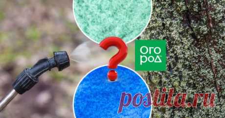 Какой купорос лучше – медный или железный? Большинство дачников знает, что существуют такие востребованные в садоводстве-огородничестве препараты, как железный купорос и медный купорос. При этом, к сожалению, некоторые в принципе их путают, а другие знают, что это разные вещества, но все же считают их взаимозаменяемыми.