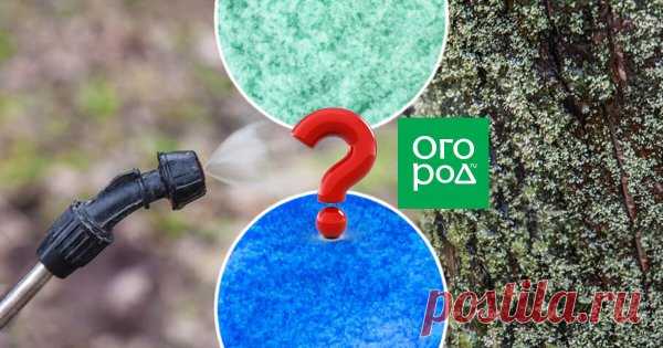 Какой купорос лучше – медный или железный? Большинство дачников знает, что существуют такие востребованные в садоводстве-огородничестве препараты, как железный купорос и медный купорос. При этом, к сожалению, некоторые в принципе их путают, а другие знают, что это разные вещества, но все же считают их взаимозаменяемыми.