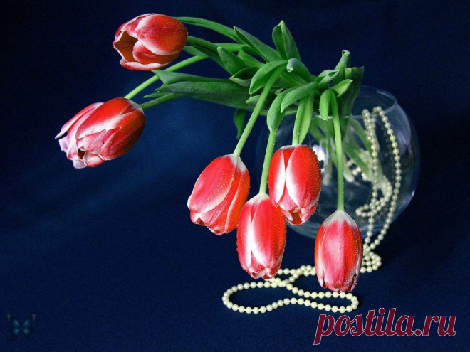 Фотографии Рустем Галимов - 4363 фото в Моем Мире.