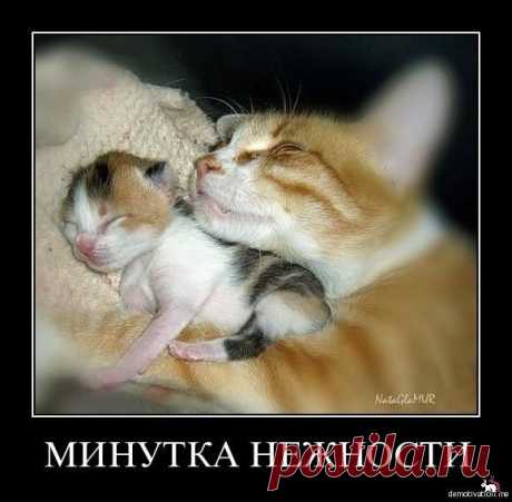 Мой Мир@Mail.Ru