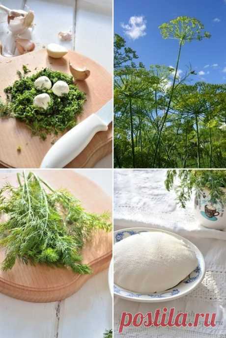 Домашний творожный сыр из сметаны и кефира — Вкусные рецепты