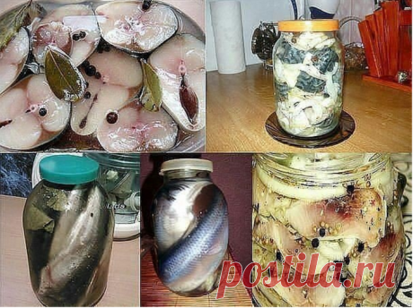 Готовим...12 Рецептов домашнего посола скумбрий, сельди, кильки и мойвы!!!