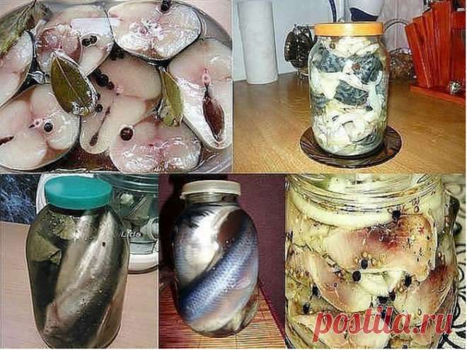 Готовим...12 Рецептов домашнего посола скумбрий, сельди, кильки и мойвы!!!