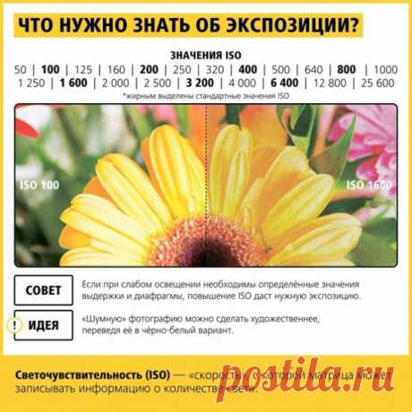 10 шпаргалок, которые помогут делать шикарные фотографии