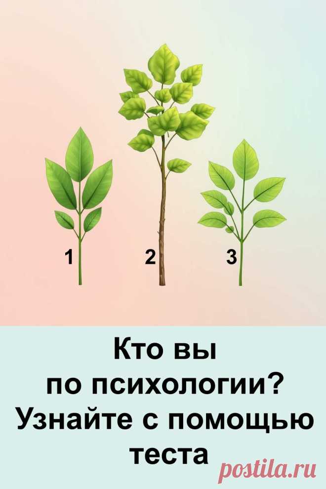 Иногда нам так хочется заглянуть в себя и понять, какие черты характера делают нас уникальными. Этот психологический тест поможет вам взглянуть на себя с новой стороны и открыть то, что скрывается глубоко в подсознании. Всё, что нужно — это довериться первому впечатлению. Выбор, сделанный за несколько секунд, способен рассказать о вашем внутреннем мире больше, чем длинные рассуждения. Такой простой метод самопознания удивляет своей точностью и лёгкостью.
