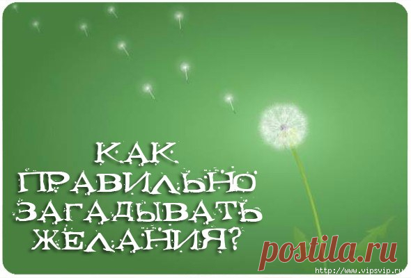 Лучшее из лучшего!
