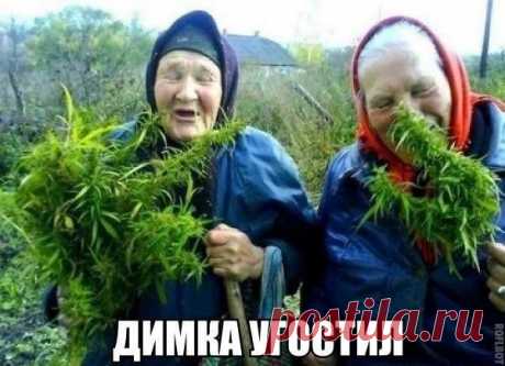 Блог сайта «Домохозяйки»