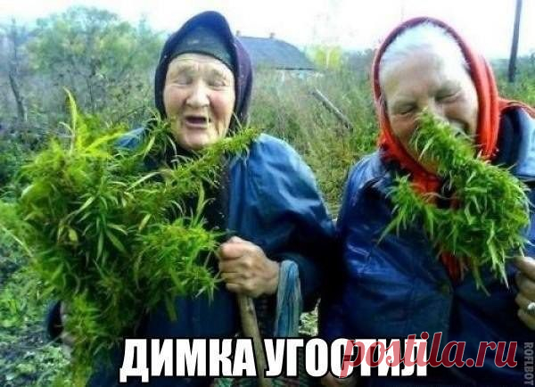 Блог сайта «Домохозяйки»