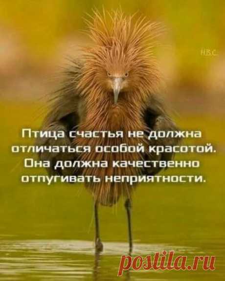 #позитив