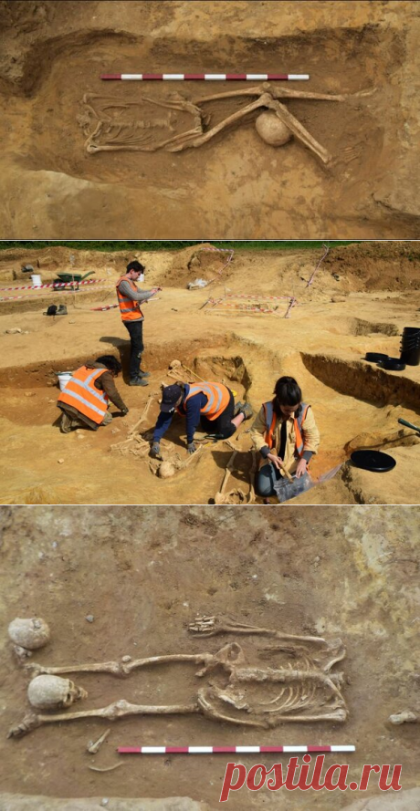 Таинственные обезглавленные скелеты, найденные в Римской могиле. | Fraid | Яндекс Дзен