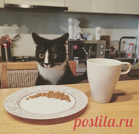 Пардон, я что-то не понял...?