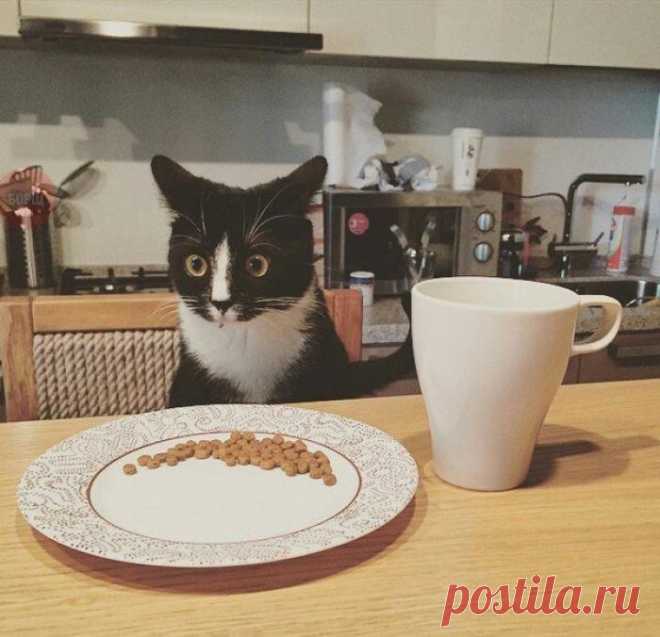 Пардон, я что-то не понял...?