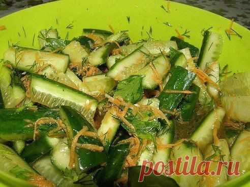 Вебка и тысячи фоторамок – Настя Якушева добавила фотографию в альбом Ваши фото в ваших рамочках