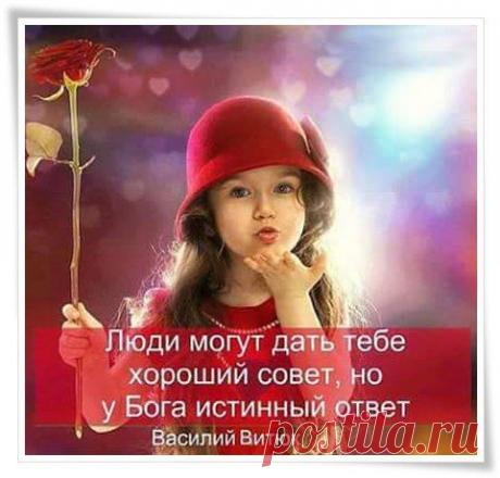 Фотоальбом «Мои фотографии» - Владимир, Санкт-Петербург, 51 год