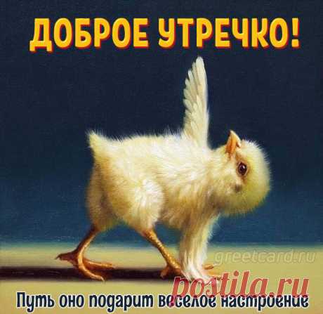 Открывай скорее глазки,
Допивай свой кофеёк
С добрым утром, время сказки!
Новый жизненный урок!