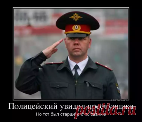 Миф о чистосердечном признании... | НАСБ.  | Яндекс Дзен