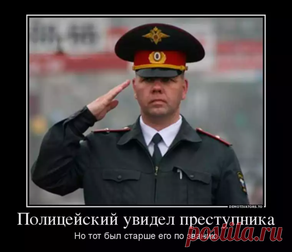 Миф о чистосердечном признании... | НАСБ.  | Яндекс Дзен