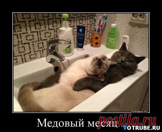 Интересные новости
