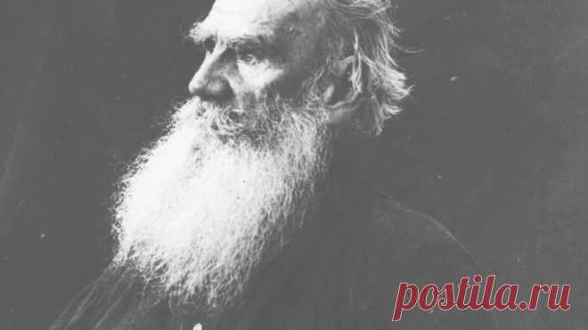 "Почему многие великие люди прошлого были вегетарианцами?" Мнения и взгляды известных личностей | Жизнь без боли | Яндекс Дзен