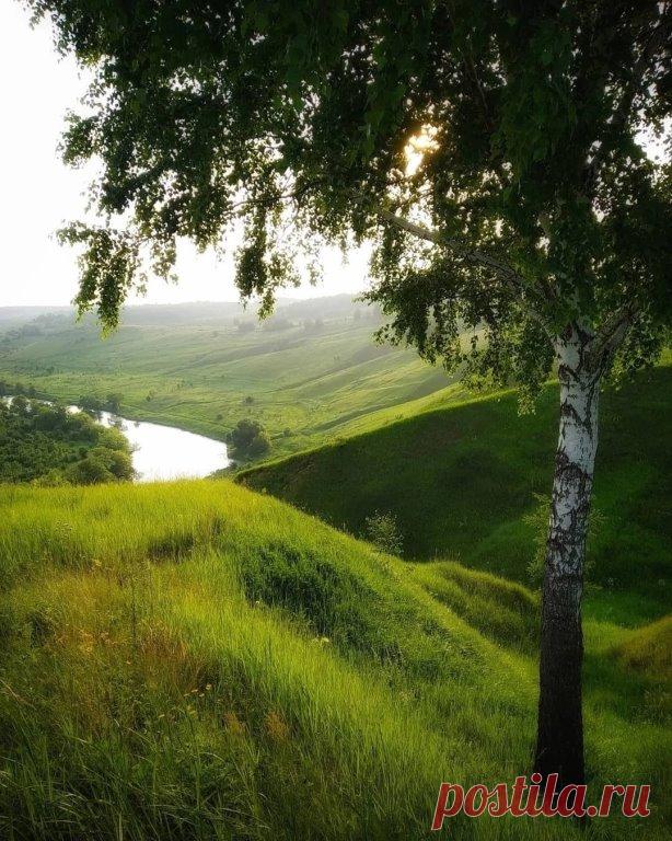 Тульская область