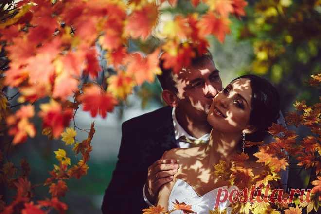 Фотограф Борис Нестеров. Свадебнaя фотография от 28.10.2014