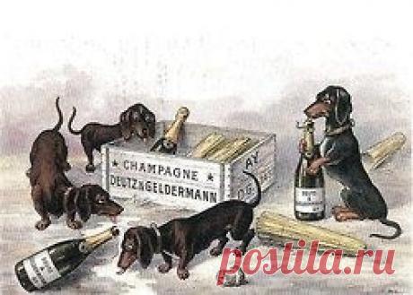 Найдено на сайте Uploaded by user.