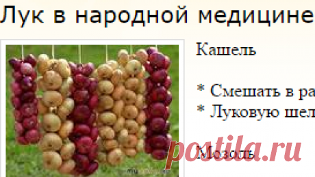 Лук в народной медицине: Дневник группы «Рецепты красоты, рецепты оздоровления»: Группы - женская социальная сеть myJulia.ru