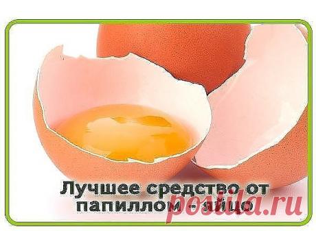 (67) Одноклассники