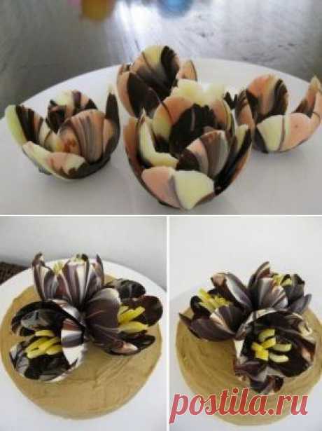 Шоколадные креманки «Тюльпаны».